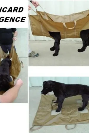 Civière d’urgence pour évacuation d’un chien blessé Exclusif