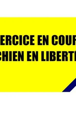 Offre Spéciale Panneau "Exercice en cours - Chien en liberté"