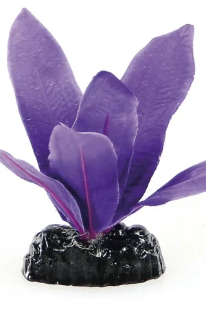 Achat Immédiat Fantasy Plant BPS-101, 10cm violette