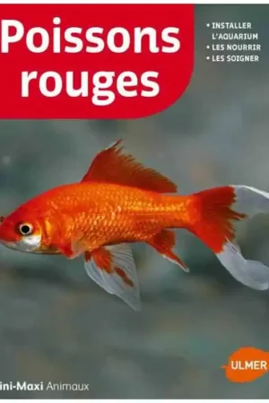 Livre - Poissons rouges Nouveauté