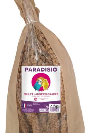 Paradisio - Millet Jaune en Grappe pour Oiseaux Livraison Gratuite