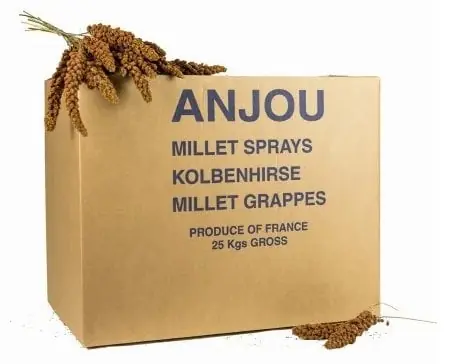 Octave Bauchant - Millet Rouge en Grappes Carton Meilleure Vente