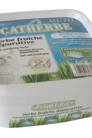 Jusqu’à Épuisement Des Stocks Muzo - Herbe Catherbe Fraîche Dépurative pour Chat