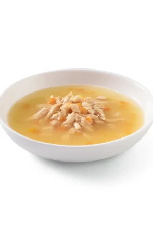 Schesir - Soupe au Poulet et Citrouille pour Chat - 85g Soldes