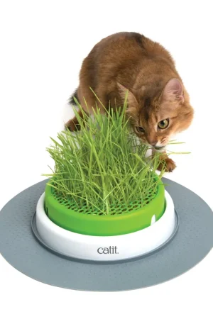 Catit - Jardin d'Herbe à Chat Senses 2.0 Top Vente
