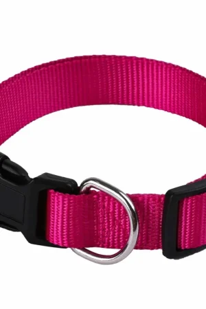 Achat Immédiat Animalis - Collier Basic pour Chien Fuchsia