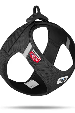 Curli - Harnais Veste Boucle Curli Clasp Noir pour Chien Meilleure Vente