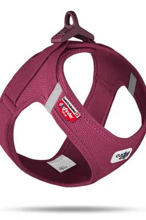 Curli - Harnais Veste Boucle Curli Clasp Ruby pour Chien Dernier Modèle
