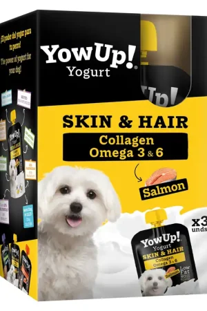 Livraison Express Yowup - Yaourt Skin & Hair au Saumon pour Chiens - 3x115g
