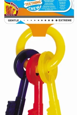 Vente Directe Nylabone - Jouet Clé Puppy Teething Chew pour Chien - XS