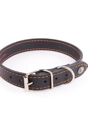 Meilleure Qualité Martin Sellier - Collier Flash Noir/Orange pour Chiens