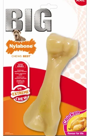 Nylabone - Jouet Os à Mâcher BIG Bone au Poulet pour Chiens - XXL Paiement Sécurisé