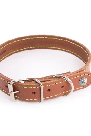 Top Qualité Martin Sellier - Collier Flash Cognac/Jaune pour Chiens