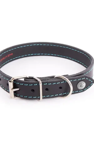 Martin Sellier - Collier Flash Noir/Turquoise pour Chiens Gros Lot