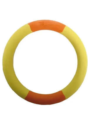 Martin Sellier - Jouet Anneau Rubb'n'color pour Chien - 14,5cm Gros Lot