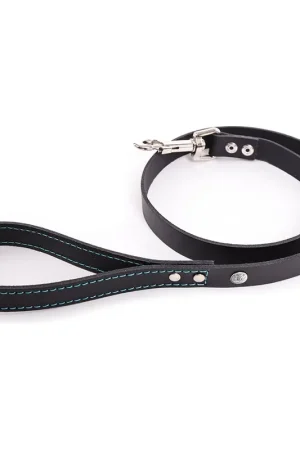 Prix Choc Martin Sellier - Laisse Flash Noir/Turquoise pour Chiens