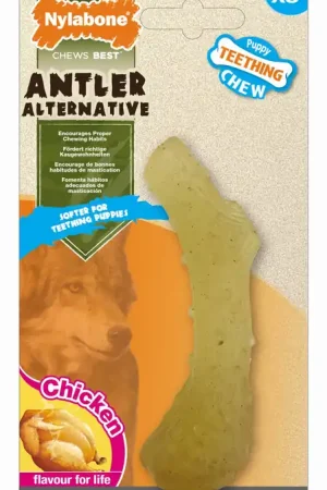 Nylabone - Jouet Os à Mâcher Puppy Teething au Poulet pour Chiots - XS Meilleure Vente