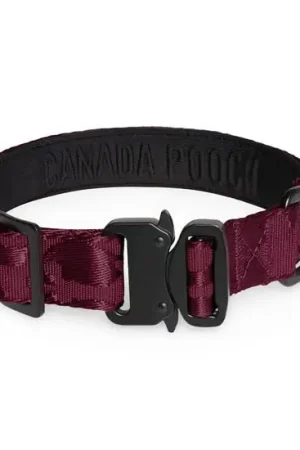 Collier utilitaire pour chiens Offre Exclusive