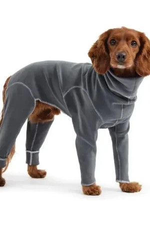 Combinaison Gondola pour chiens Offre Exclusive