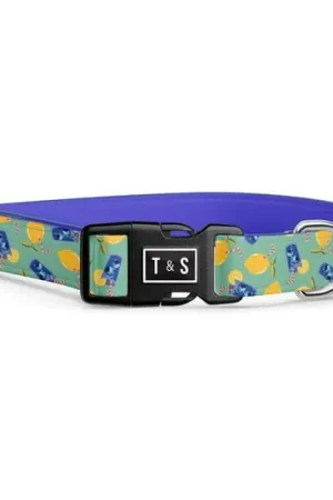 Collier réglable « Limonade Sucrée » pour chien Livraison Gratuite