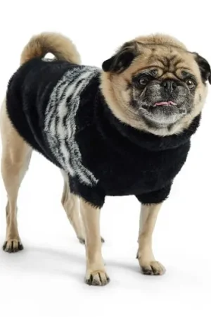 Certifié Tricot pelucheux pour chiens