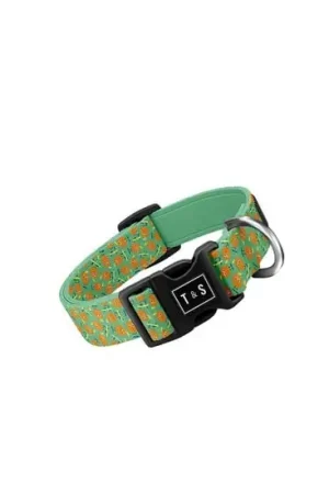 Collier réglable « Ollie Orange » pour chien Prix Cassé
