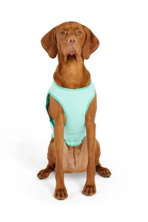 Artisanat Gilet rafraîchissant pour chiens