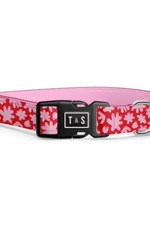 Collier réglable « Mila » pour chien Fait Main