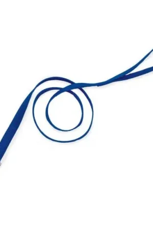 Commander Vite Laisse bleue de nylon simple