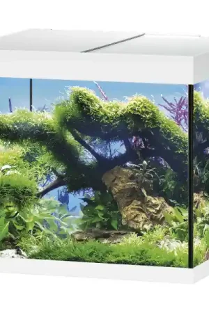 Vente Flash EHEIM Aquarium Vivaline LED 150