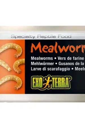 Exo Terra Nourriture pour reptiles vers de farine 34g Offre Du Jour